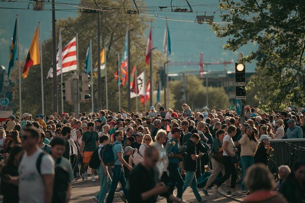 Services de dératisation à lyon : solutions efficaces contre les rongeurs